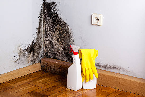 Water Damage Restoration in Roseau, MN